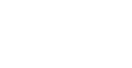 Vivix
